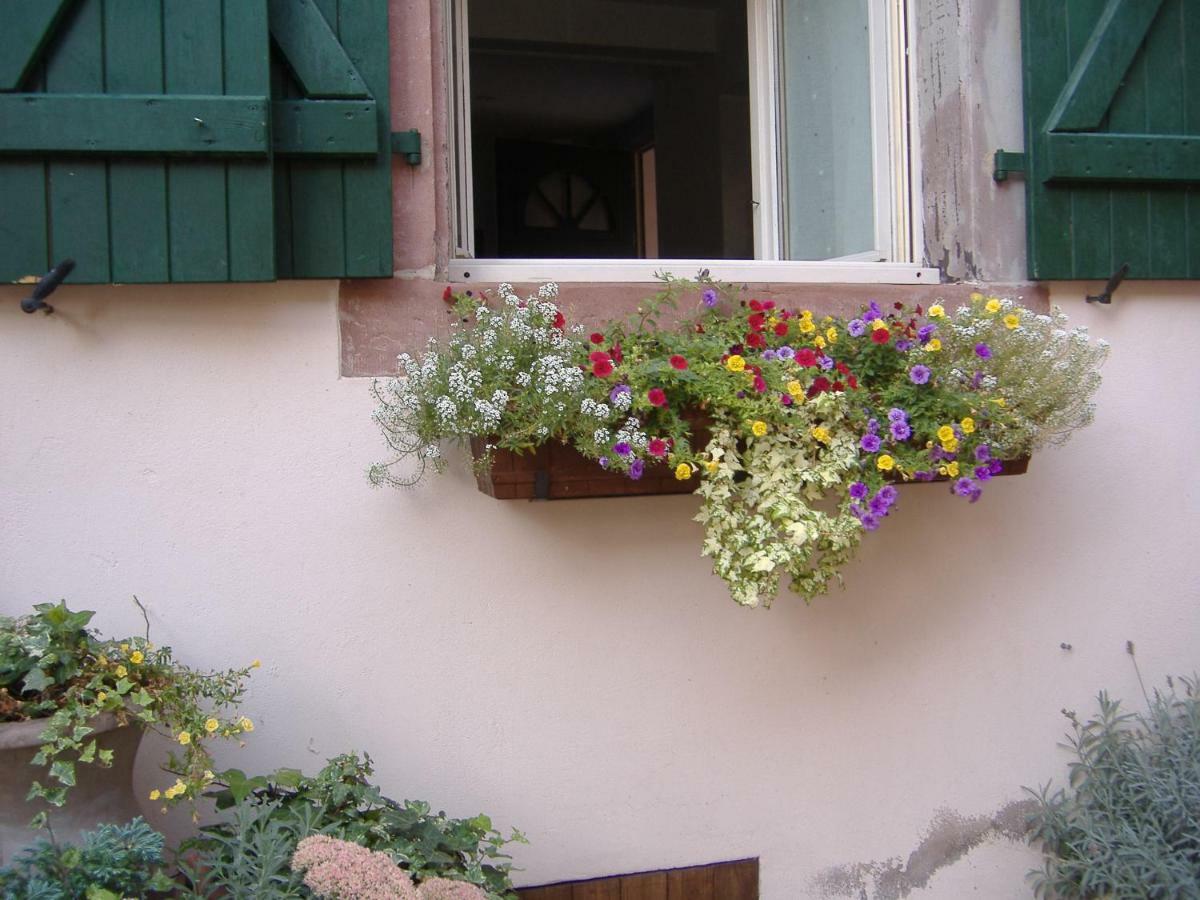 Charmant Petit Appartement En Alsace Bouxwiller  Ngoại thất bức ảnh