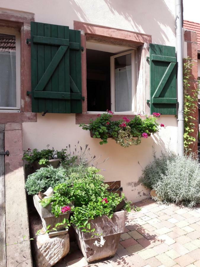 Charmant Petit Appartement En Alsace Bouxwiller  Ngoại thất bức ảnh
